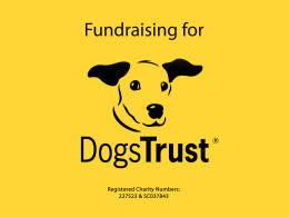 Fundraising for Dogs Trust logo